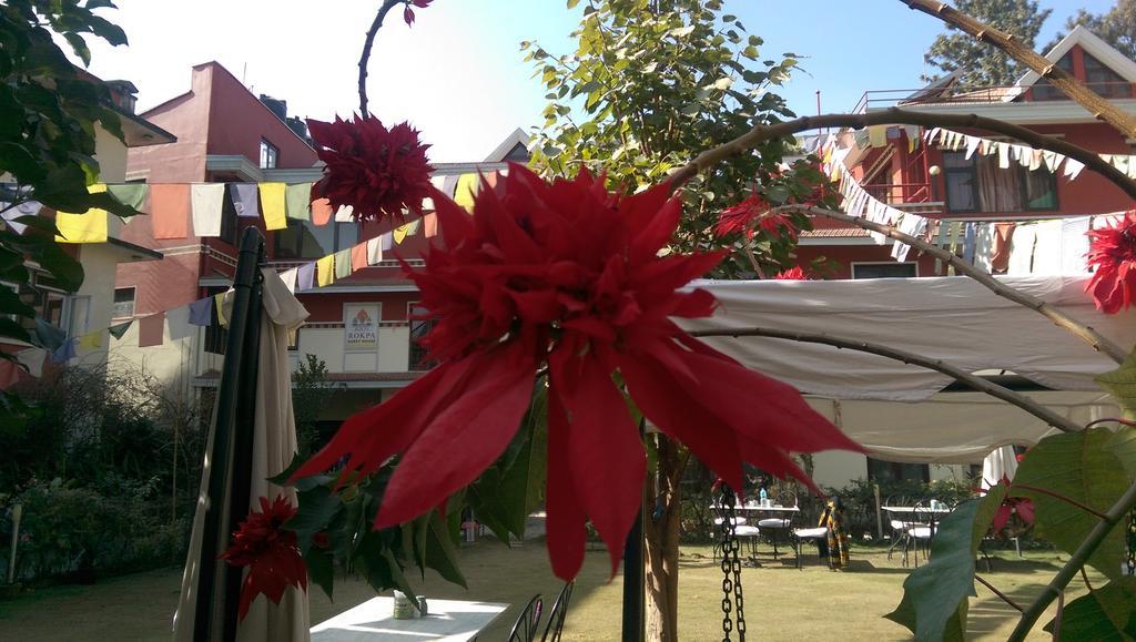 Rokpa Guest House Kathmandu Ngoại thất bức ảnh