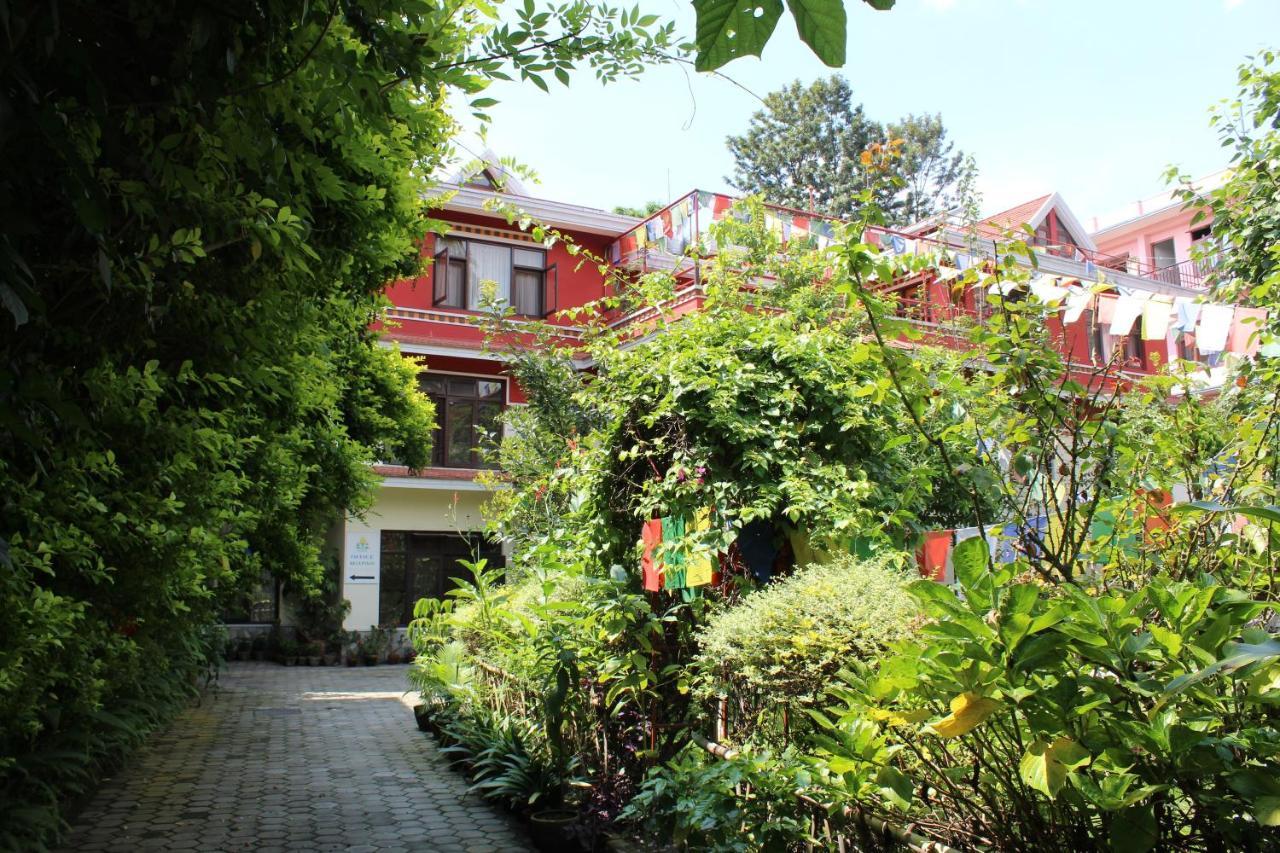 Rokpa Guest House Kathmandu Ngoại thất bức ảnh